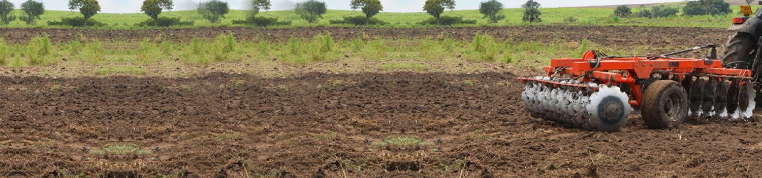 Disc Harrow